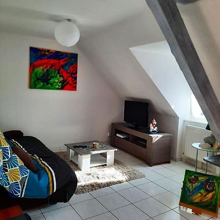 Appartement Spacieux A Ingersheim Avec Vue Sur Jardin 100 M² Exterior photo