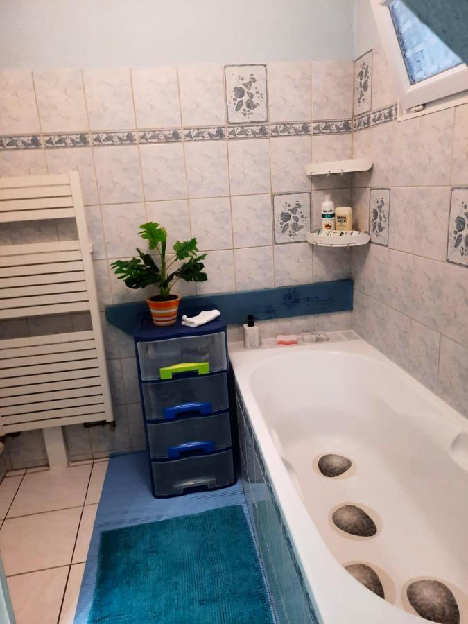 Appartement Spacieux A Ingersheim Avec Vue Sur Jardin 100 M² Exterior photo